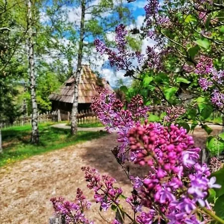 Zlatiborska 2 アパート ズラティボール