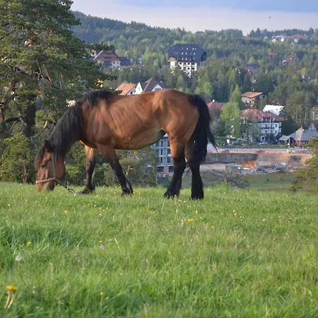 Zlatiborska 2 Апартаменты