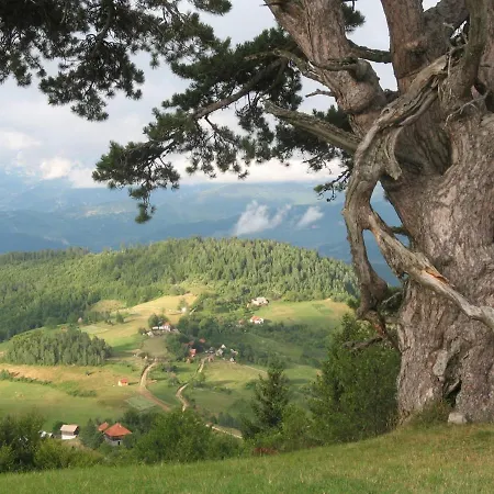 アパート Zlatiborska 2