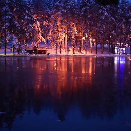 Zlatiborska 2 ズラティボール