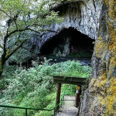 Zlatiborska 2 ズラティボール