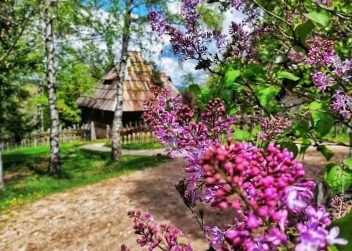 Zlatiborska 2 Appartement Zlatibor