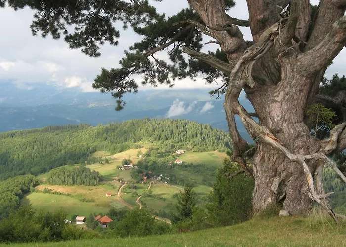 Appartement Zlatiborska 2
